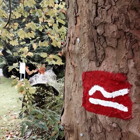 Hochheide Szálloda Willingen