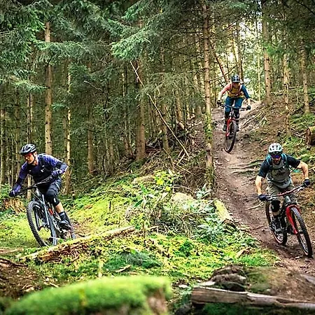 Hochheide Willingen (Upland)