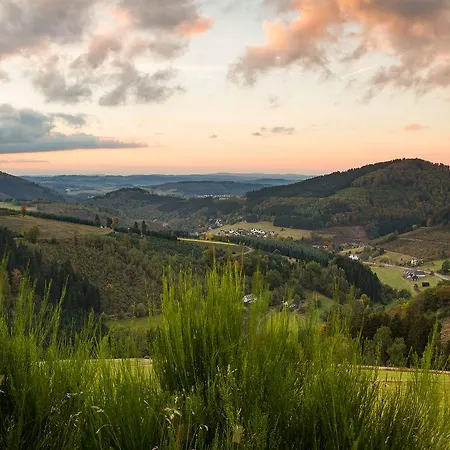 Hochheide Willingen (Upland)