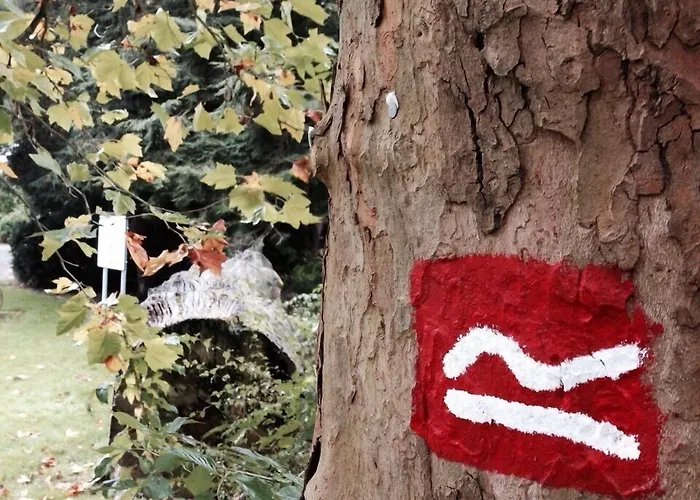 Hochheide Hotel Willingen (Upland)